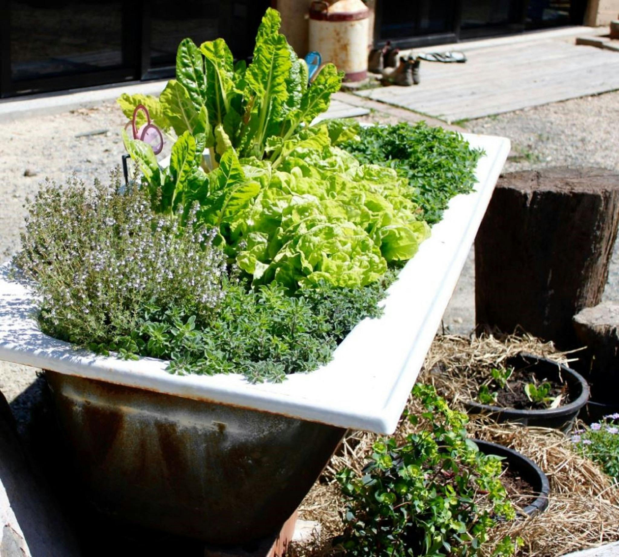 Permaculture Produce