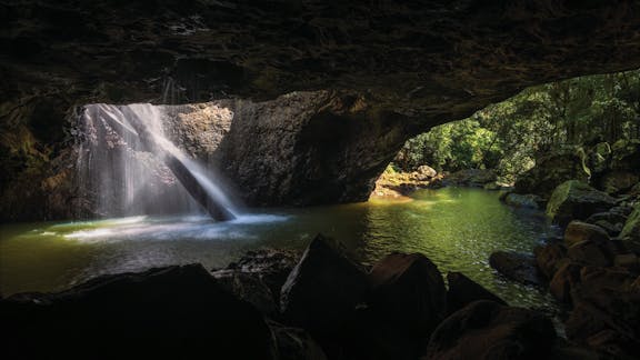 Gondwana Rainforests of Australia World Heritage Area