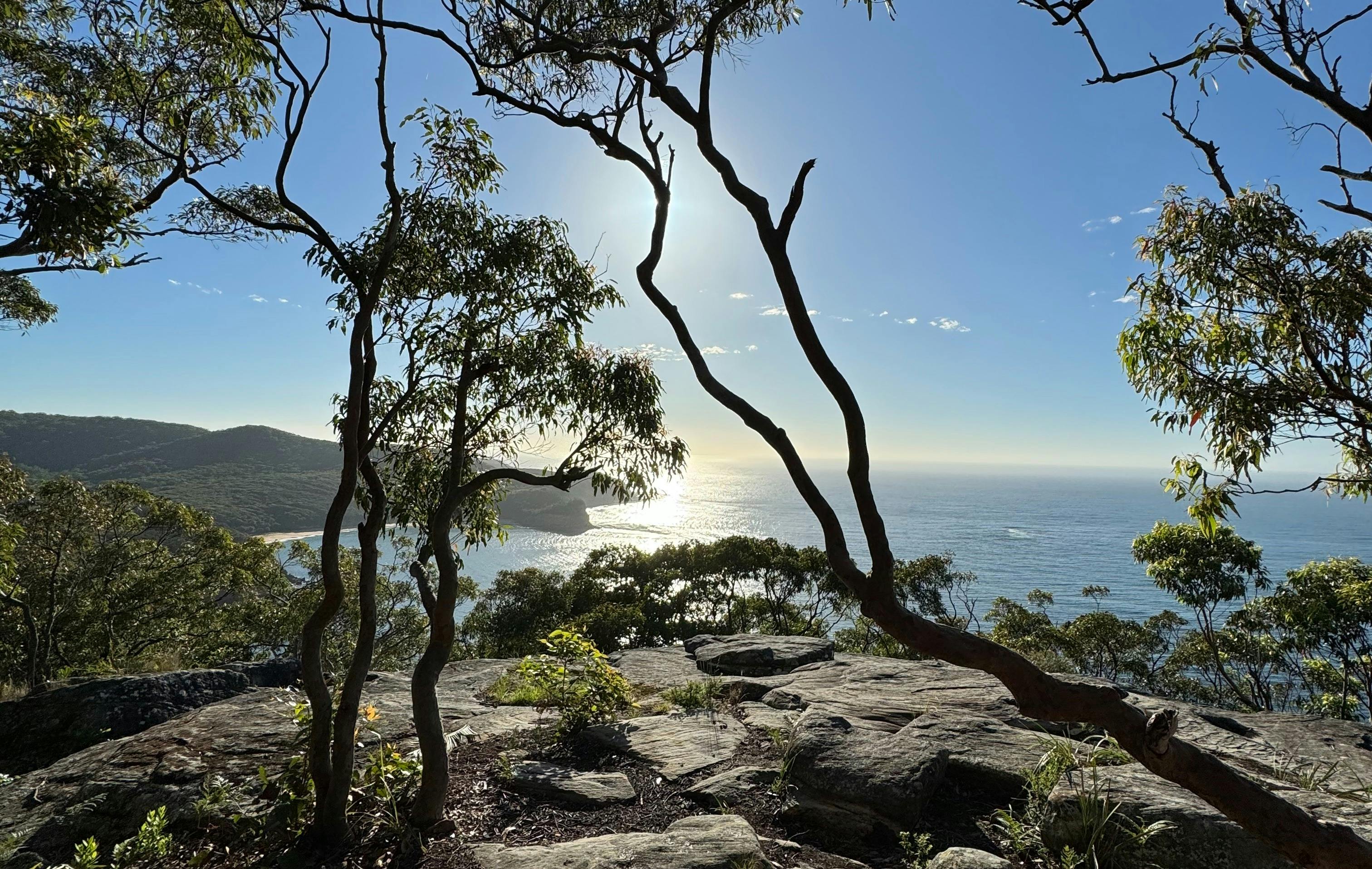 Blick auf die Maitland Bay in Bouddi
