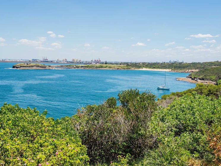 Henry Head walking track, Kamay Botany Bay National Park. Photo: John Spencer