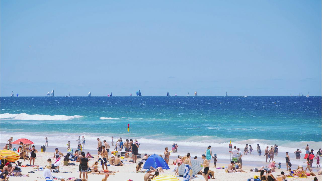 People on beach landscape