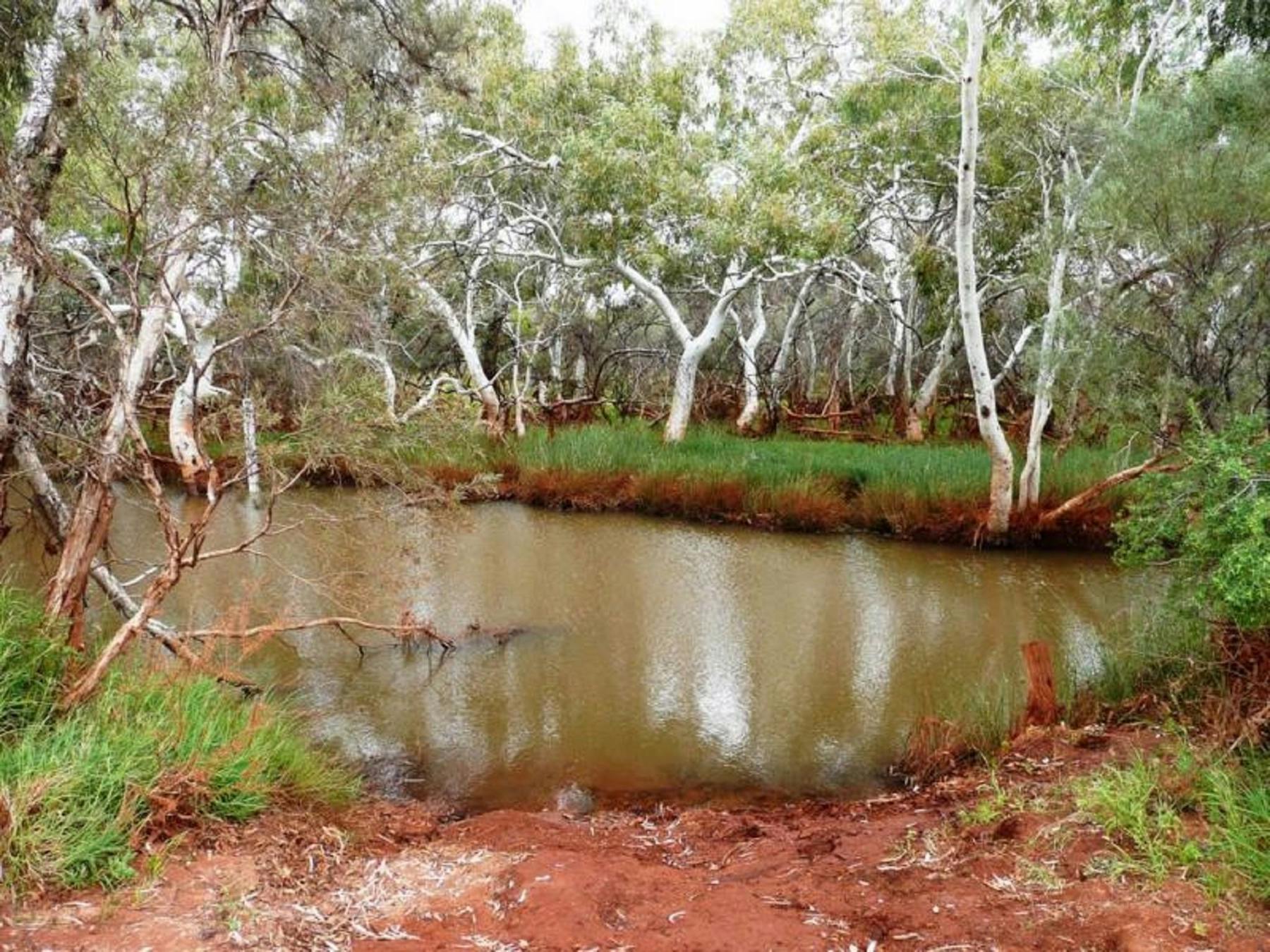 Gascoyne River, Western Australia