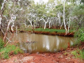 Gascoyne River