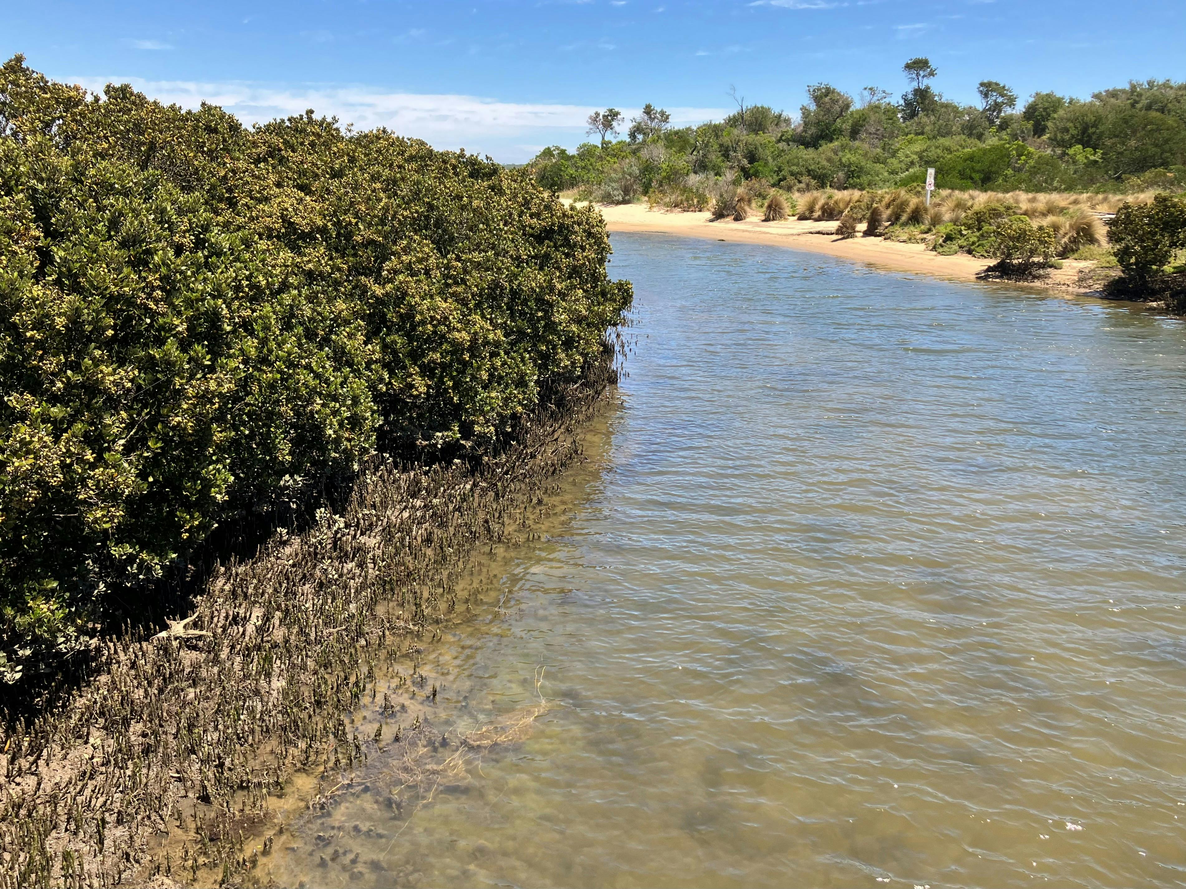 Screw Creek, Anderson Inlet