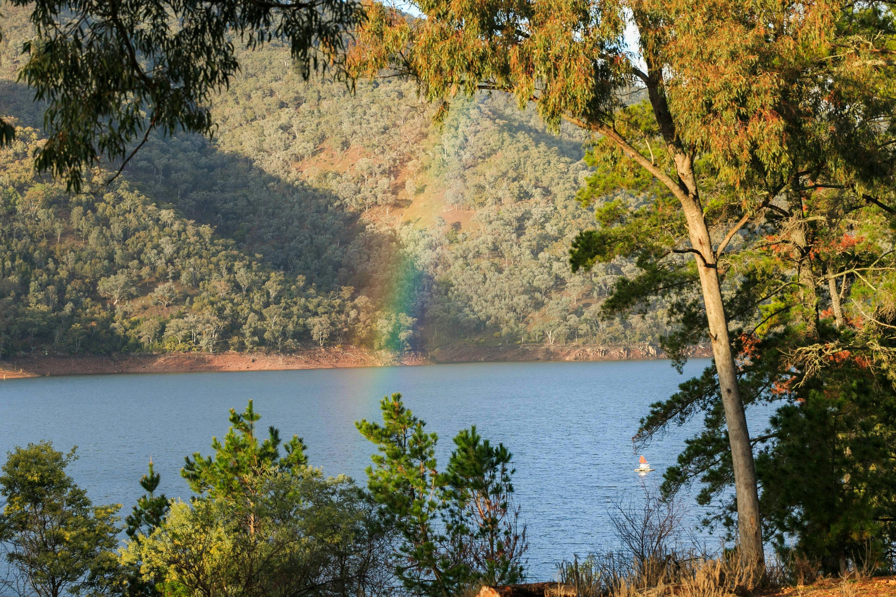 伯林賈克沃特斯