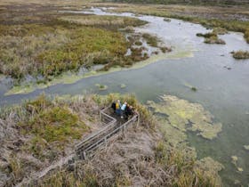 A small tour group looking out over the wetlands in Piccaninnie Ponds Conservation Park