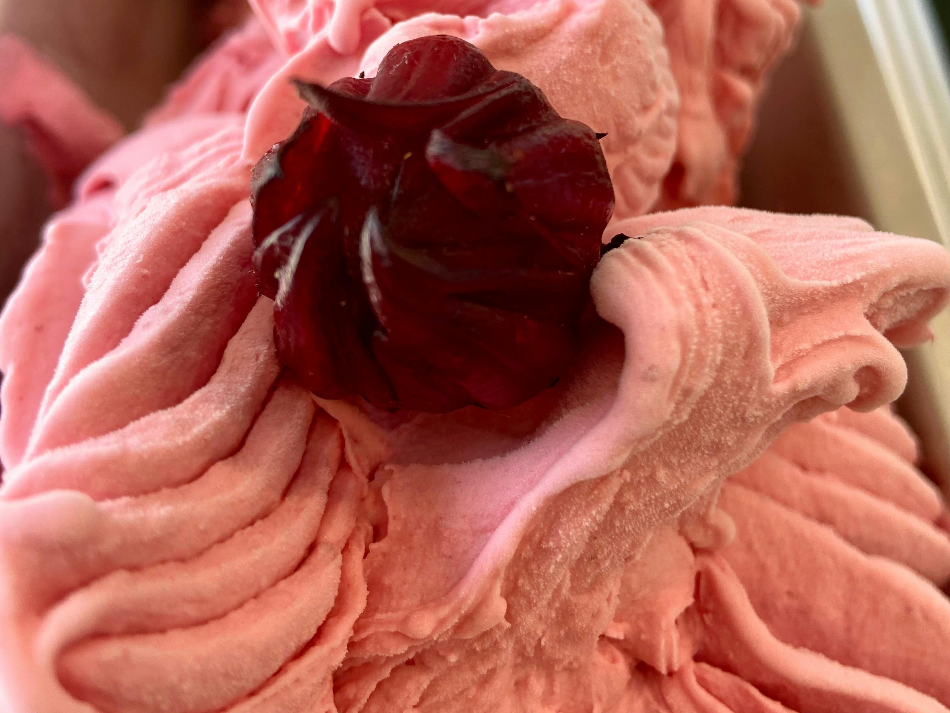 Rosella Gelato, rosellas from a MacLeay Island  garden