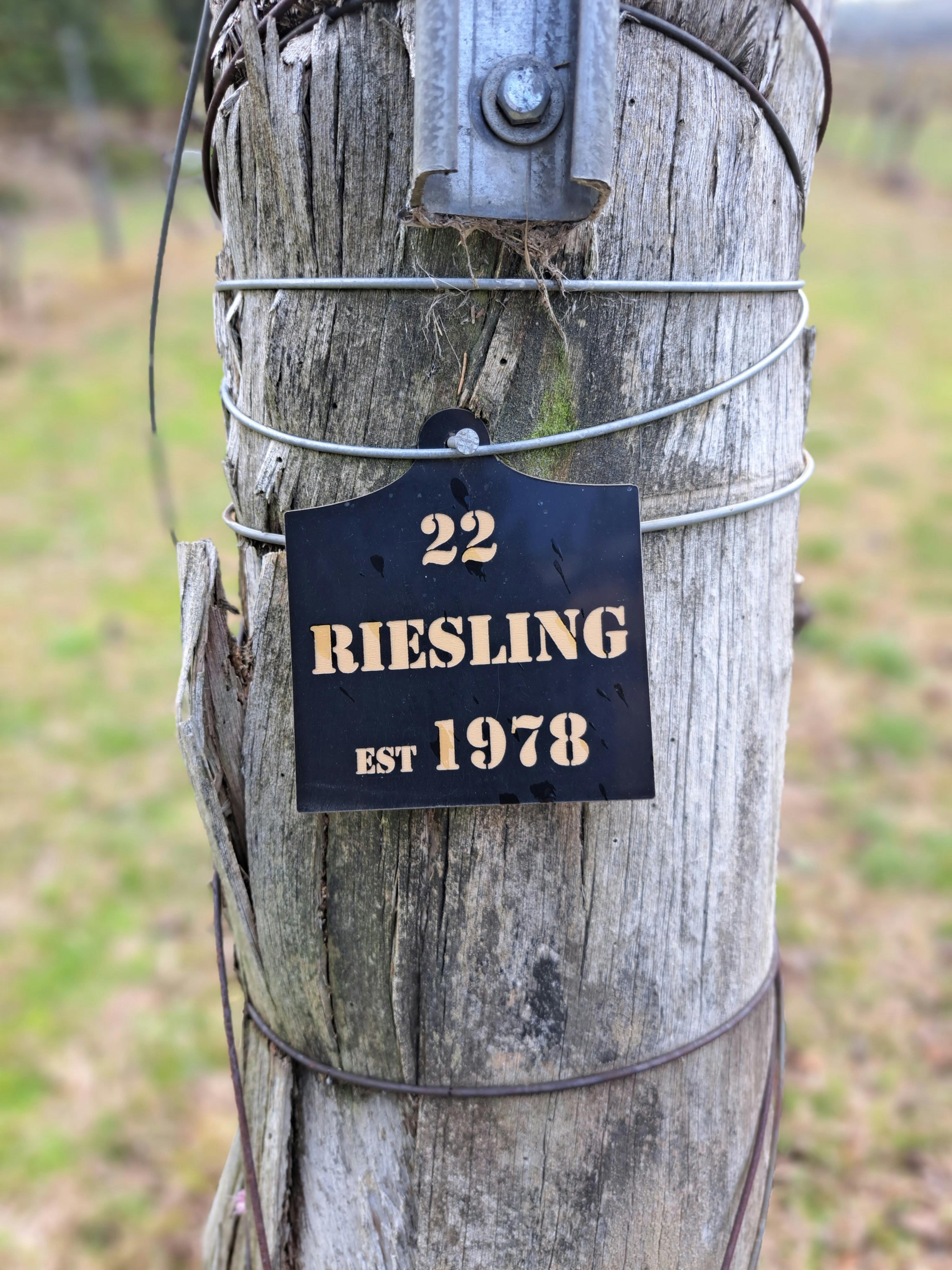 Riesling