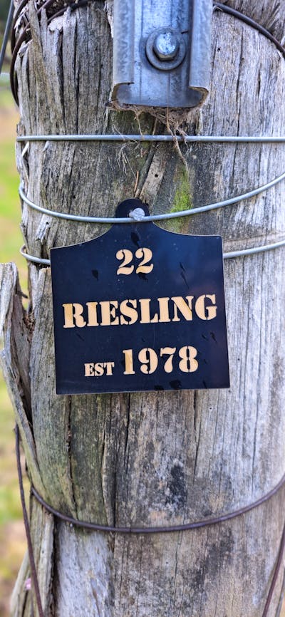 Riesling