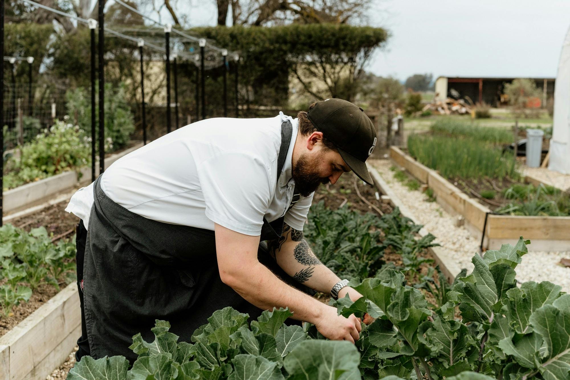 Brown Brothers - Kitchen Garden