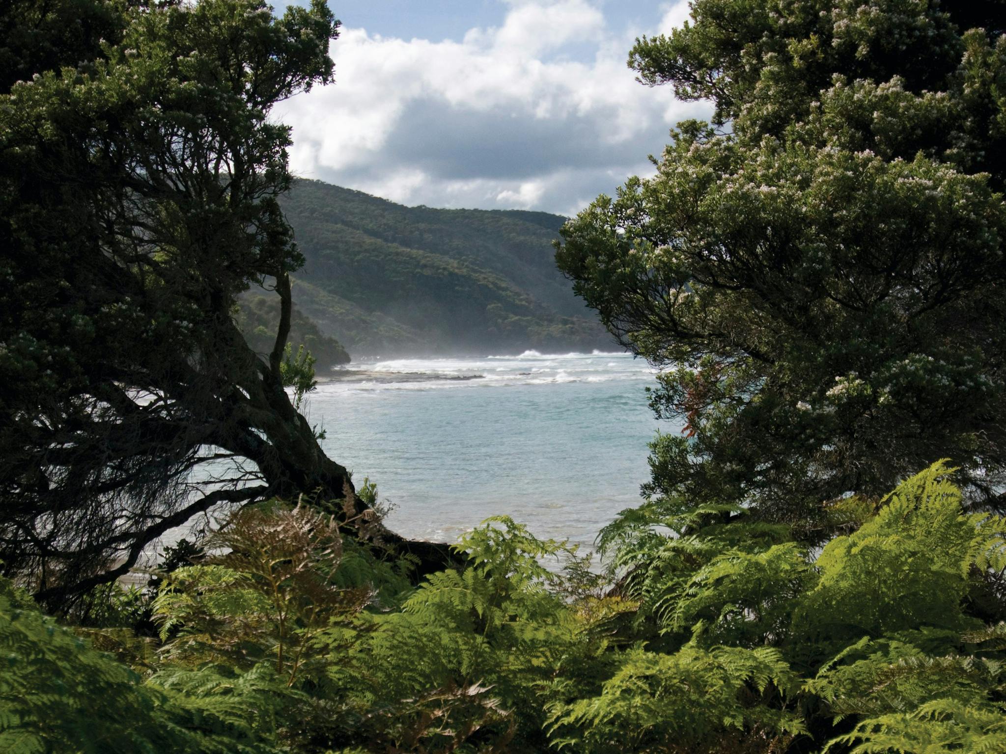 Great Otway National Park edit