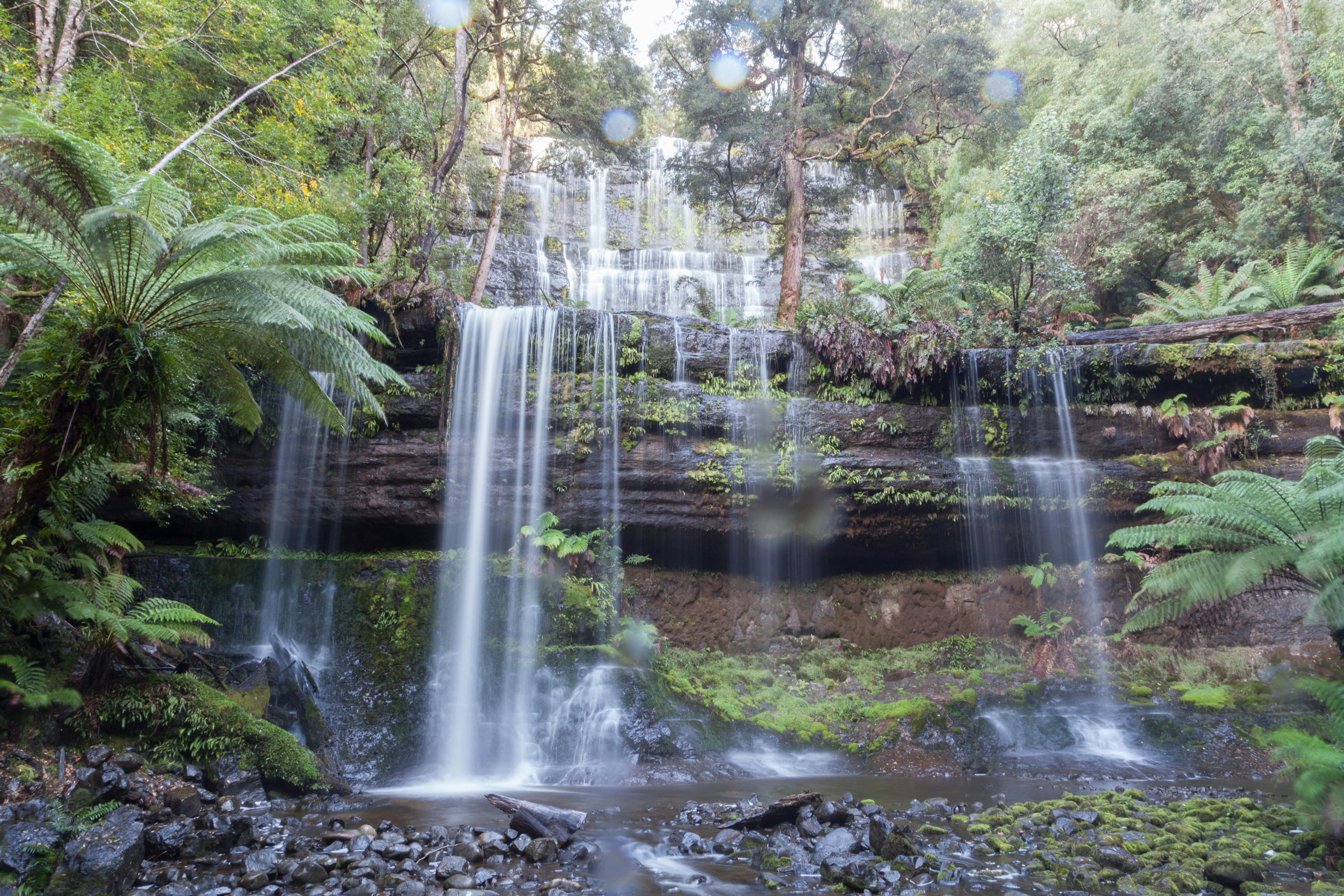 Mt Field National Park