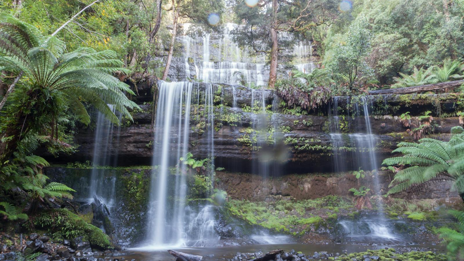 Mt Field National Park