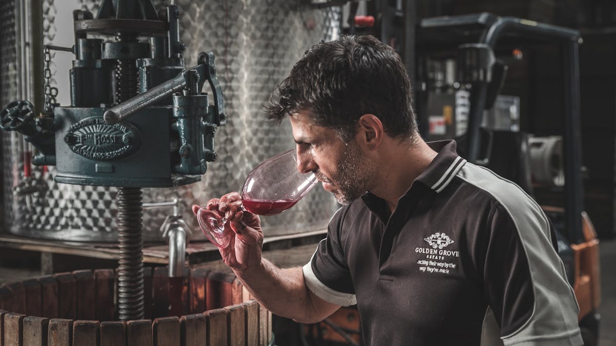 Winemaker assessing a wine