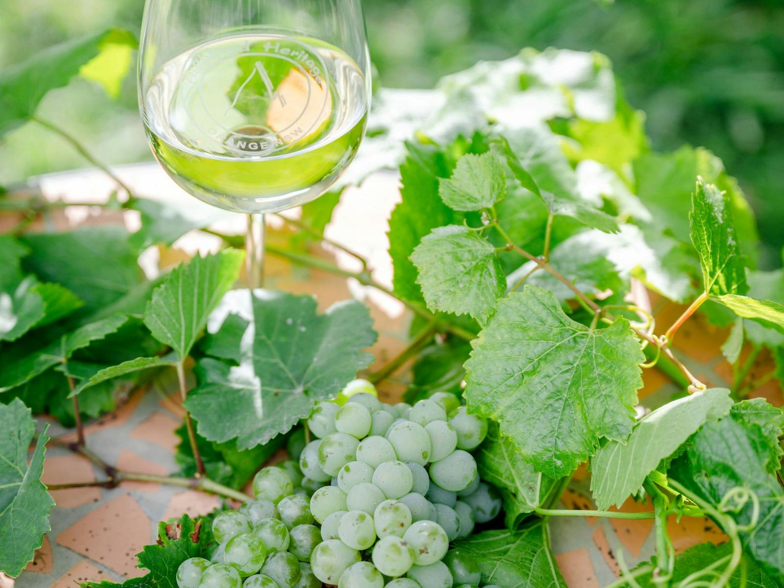 Nonna's 80th Anniversary Long Lunch