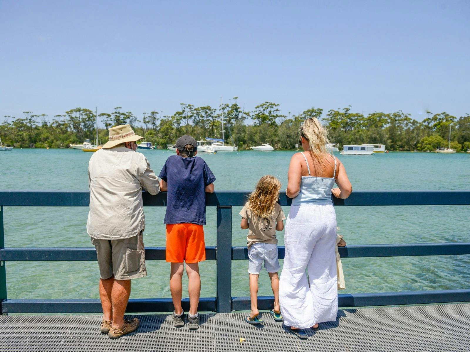 Guided tour Mangrove Board walk Huskisson