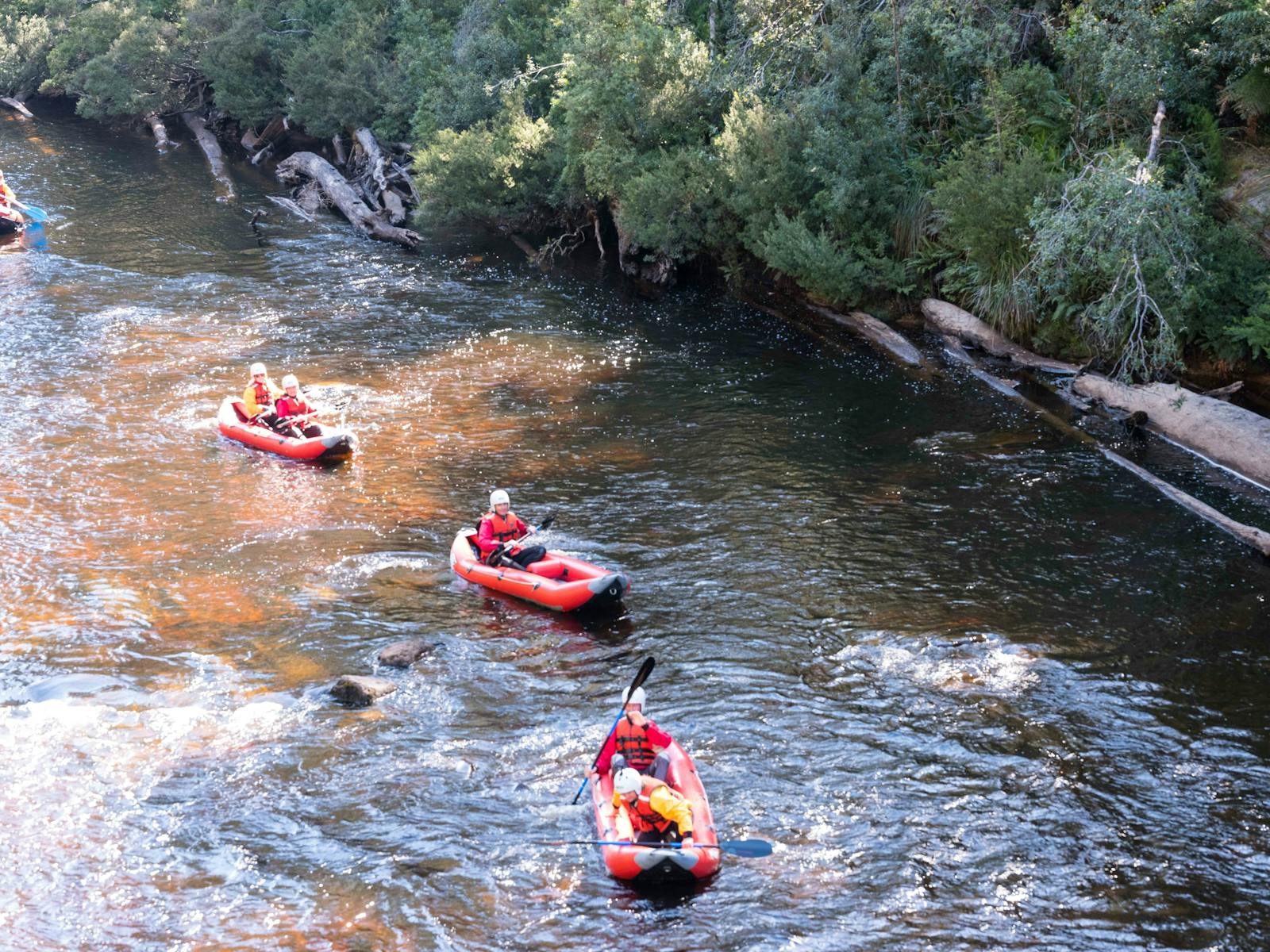 half day family fun on our Twin Rivers Adventure.  Includesd entry to the Tahune Adventure Site