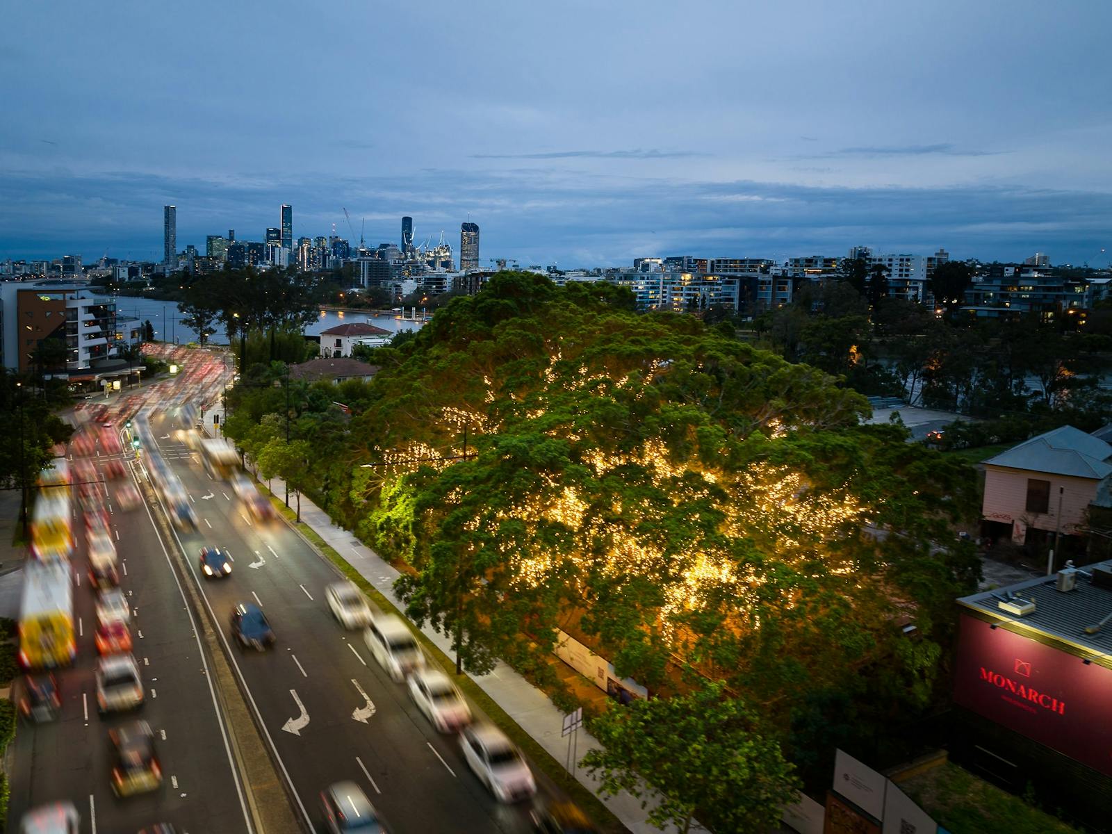 The heritage trees at 600 Coronation Drive lit up with five kilometres of fairy lights The heritage trees at 600 Coronation Drive lit up with five kilometres of fairy lights