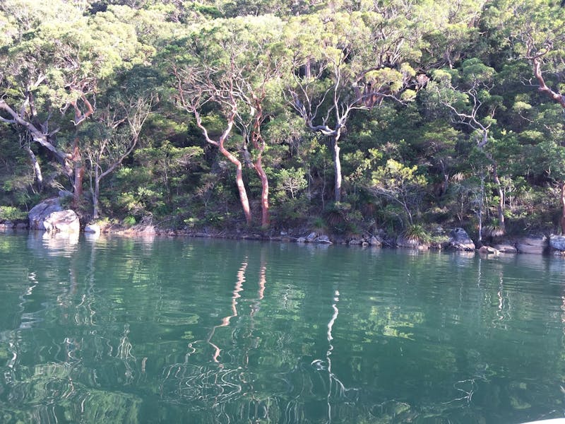 Hawkesbury River Charter NSW Holidays & Accommodation