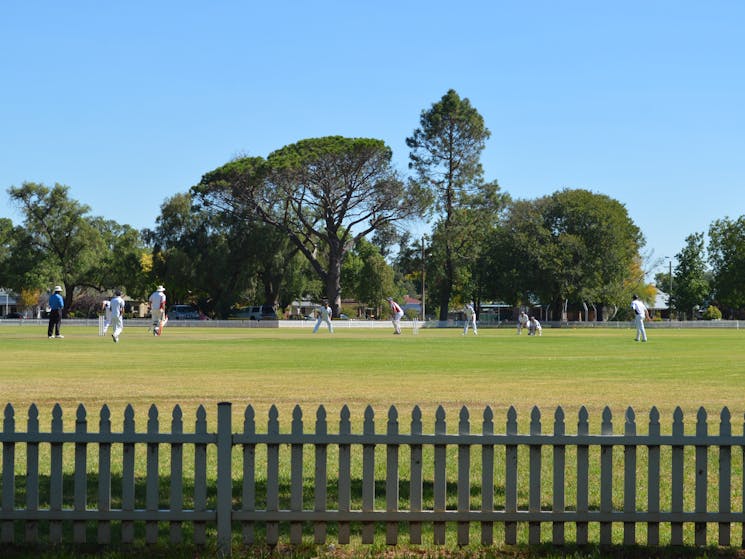 Albert Park