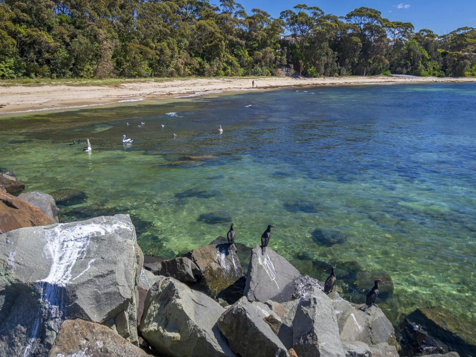 Ulladulla Harbour North