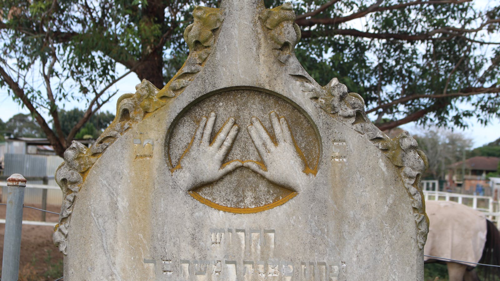 Maitland Jewish Cemetery