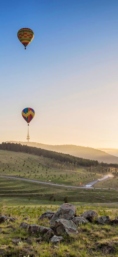 flying over the Aroboretum
