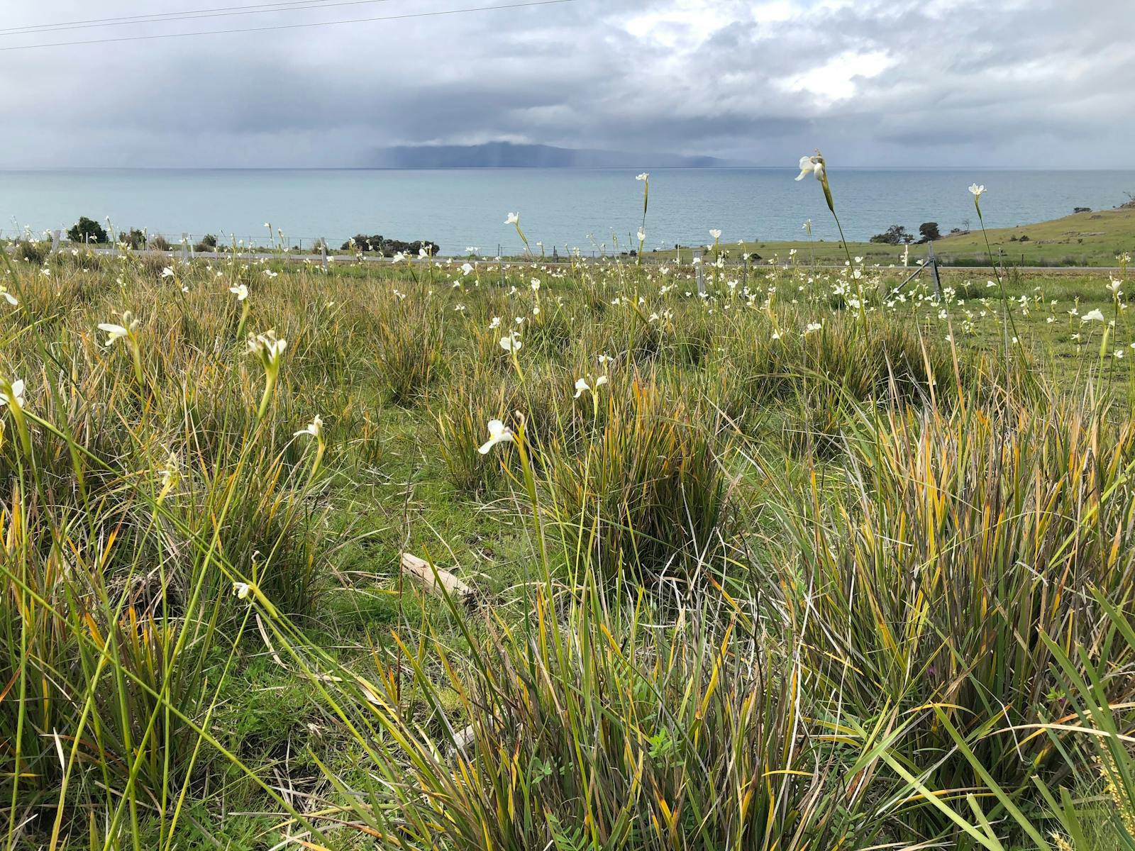 East Coast Landscape