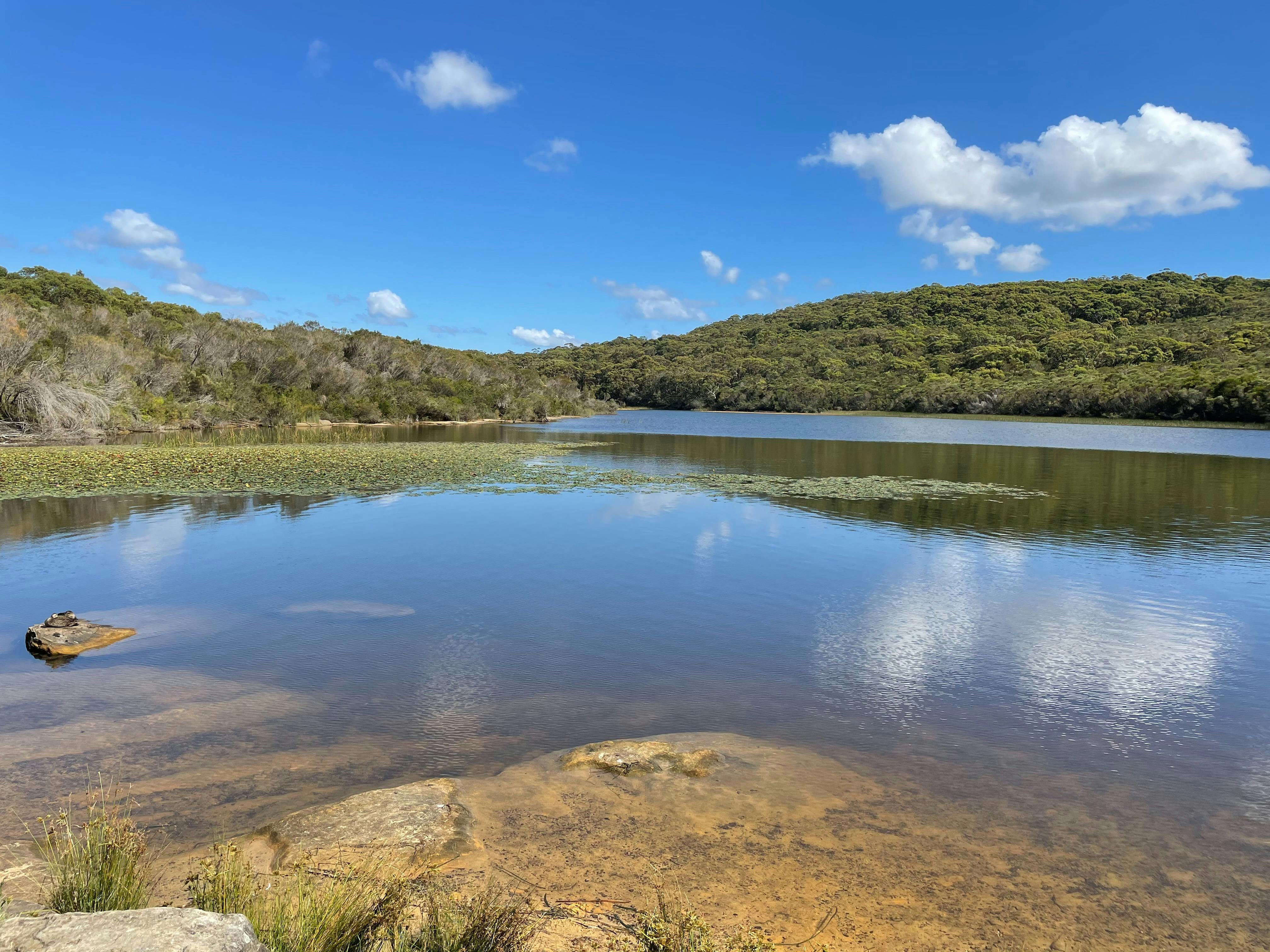 Sunny day at Manly Dam