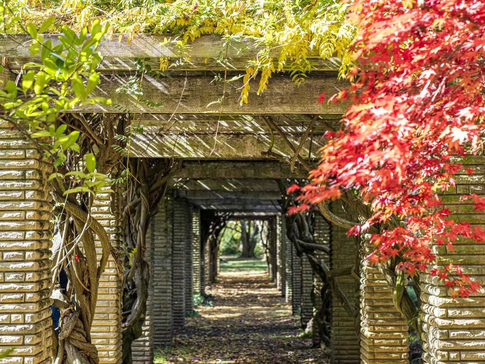 Hazelhome Estate garden venue