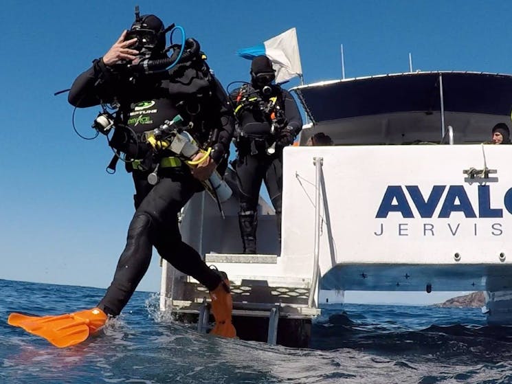 Dive Jervis Bay