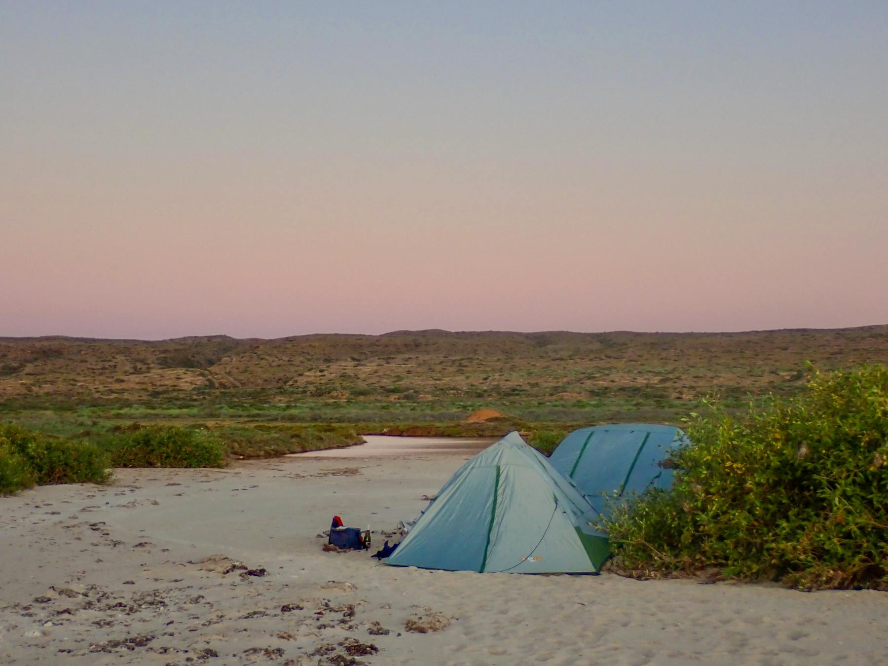 Two tents nestled on the sand against coastal saltbush, with a pink pastel sunset sky behind