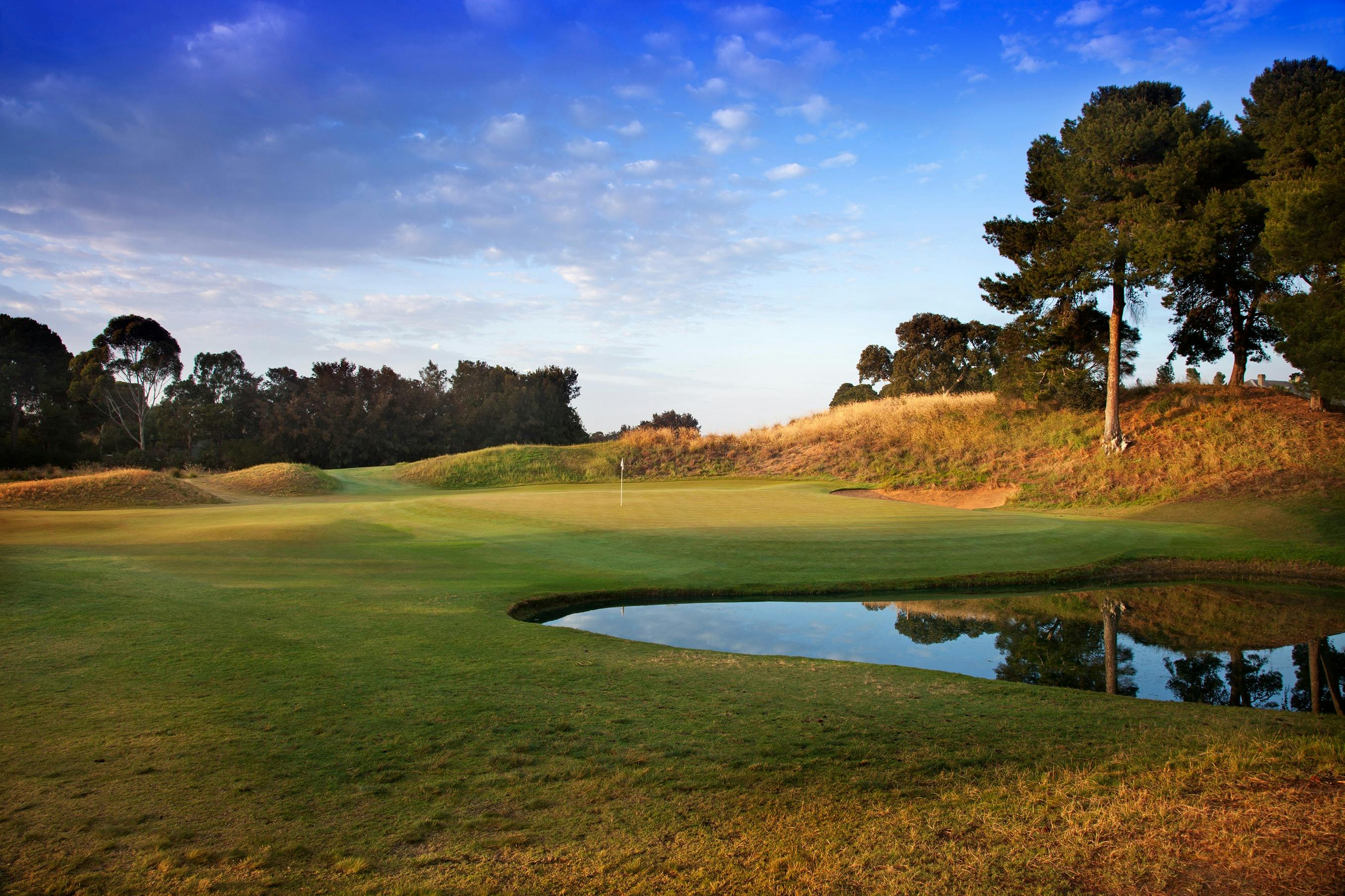 Four Reds Golf & Wine