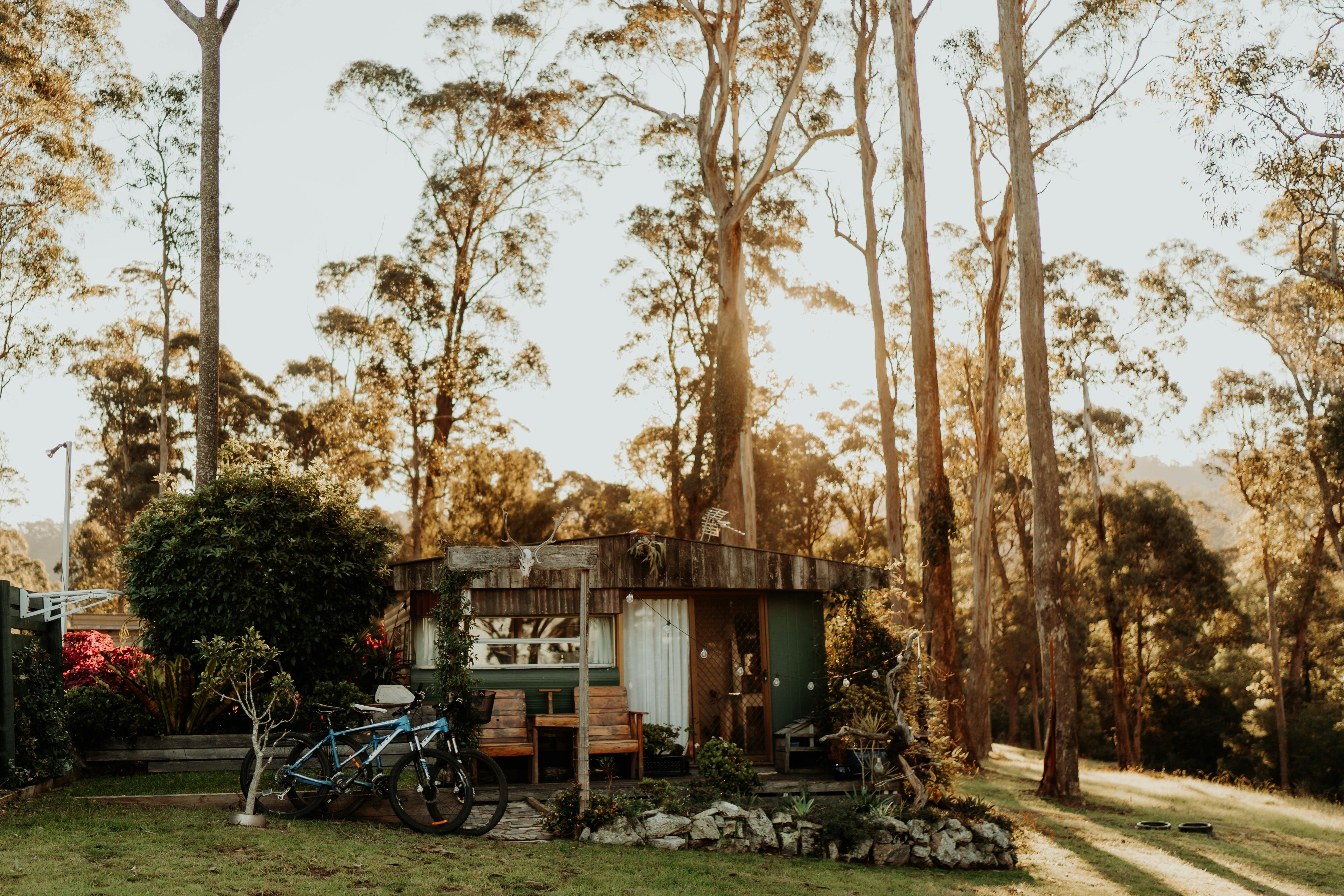 ユーカリの木々に囲まれた、1960年代に改装された魅力的なバンに、マウンテンバイクが立てかけられている。