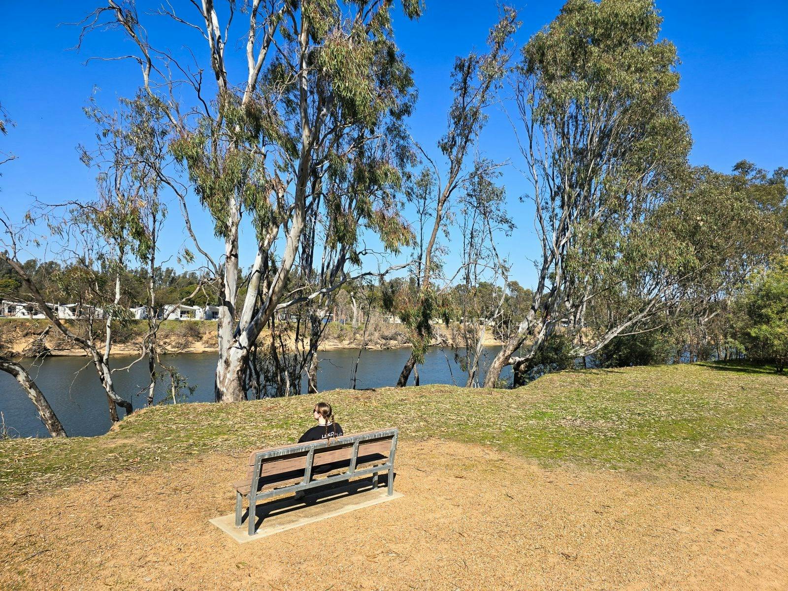 ゴーマンパークの座席