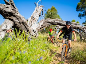 After School Mountain Bike Skills - Cobbler Creek Recreation Park Cover Image