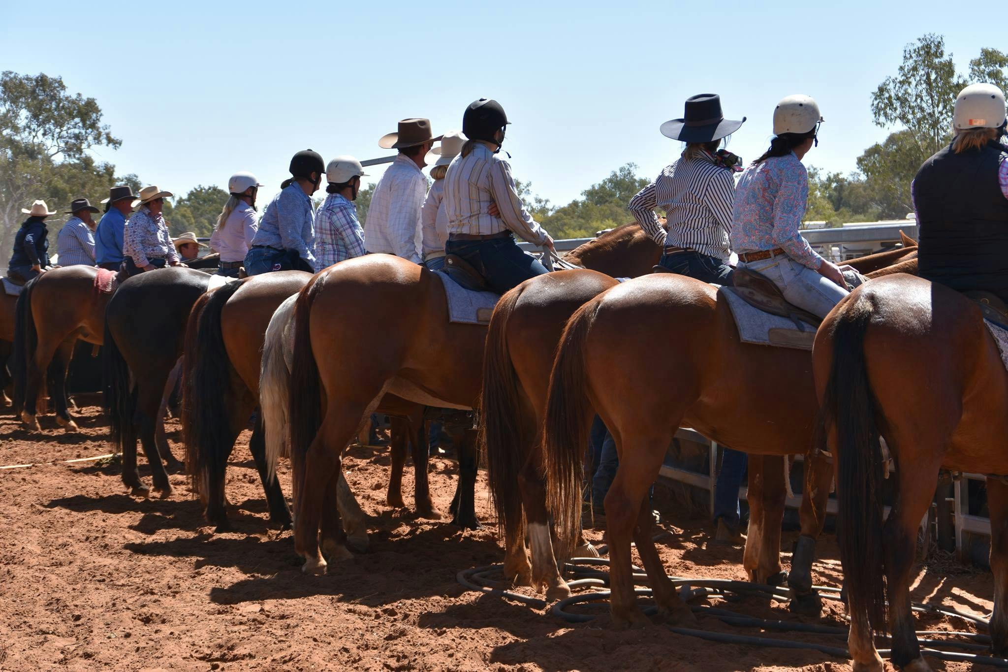 campdrafting at Nindigully