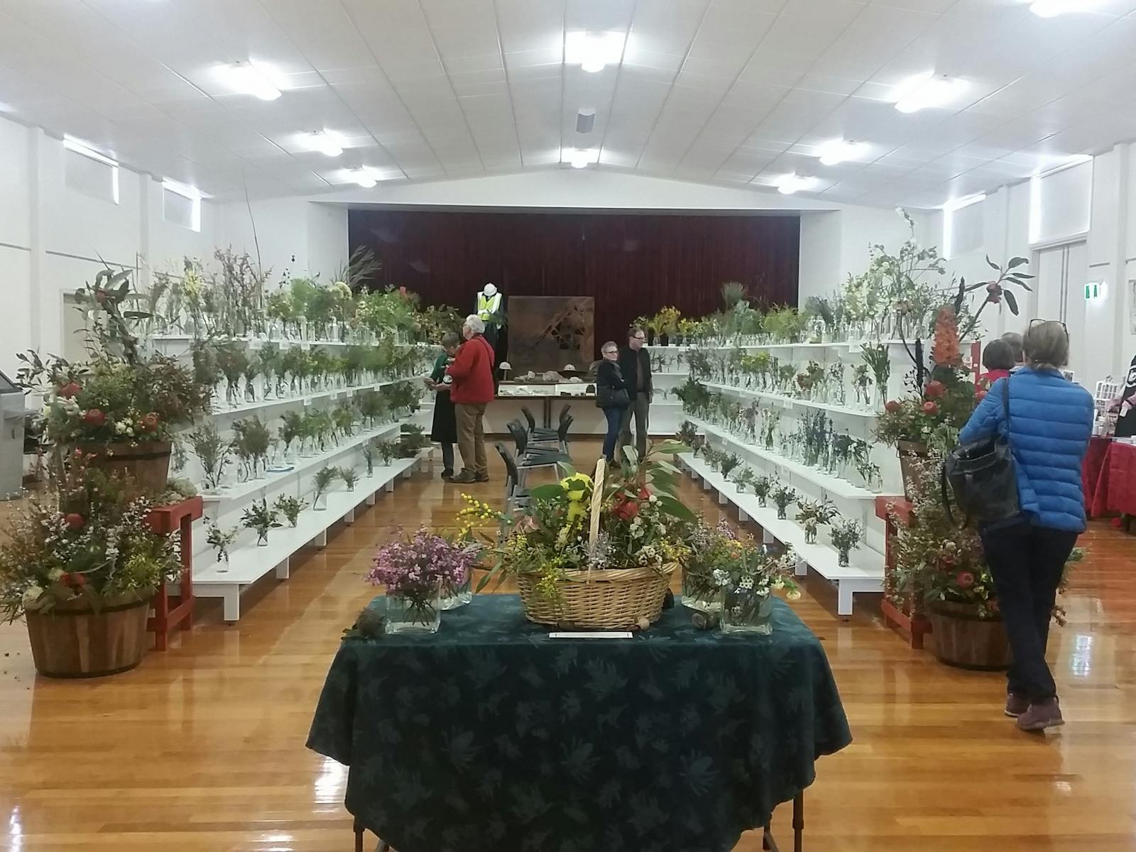 Image for Ravensthorpe Wildflower Show  and Spring Festival