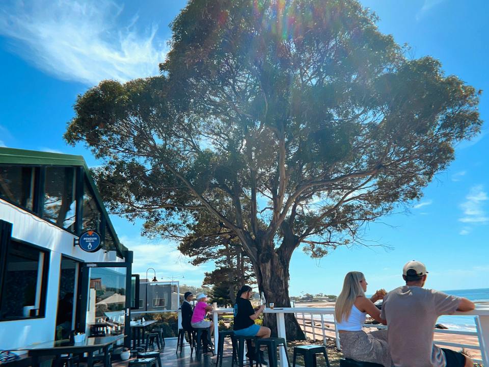Penguin Beer Co photo