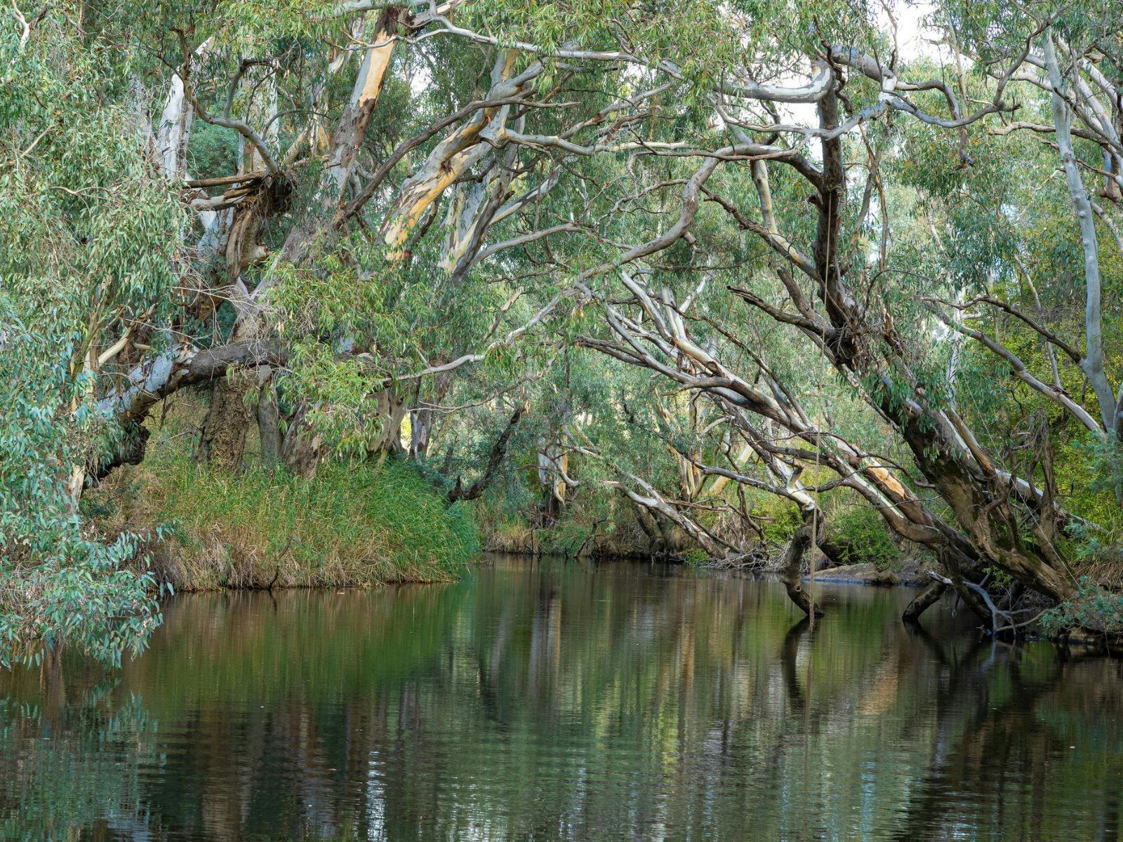 Image for Zamenhof River Cabin