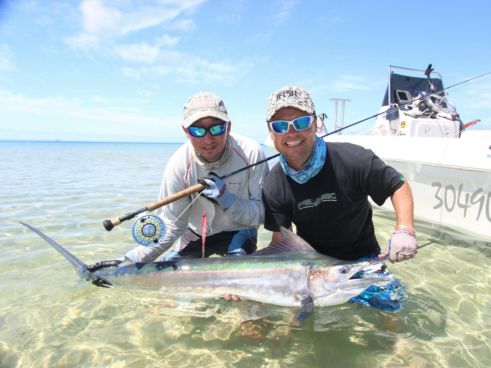 Black Marlin on Fly Black Marlin on Fly
