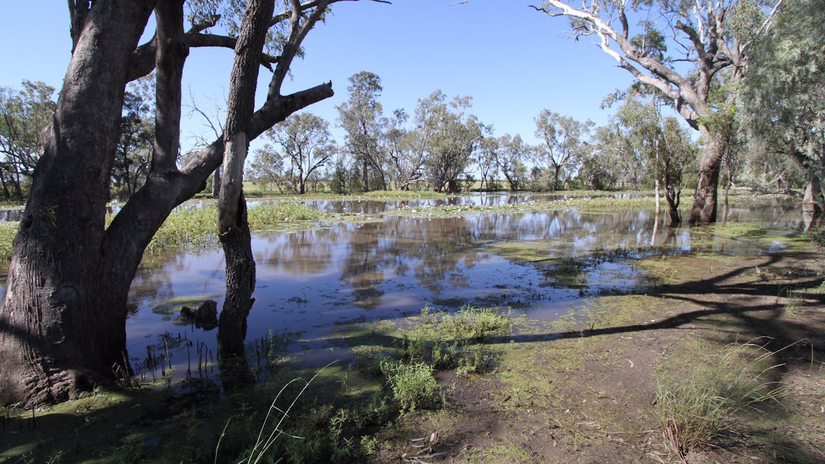 Caliguel Lagoon