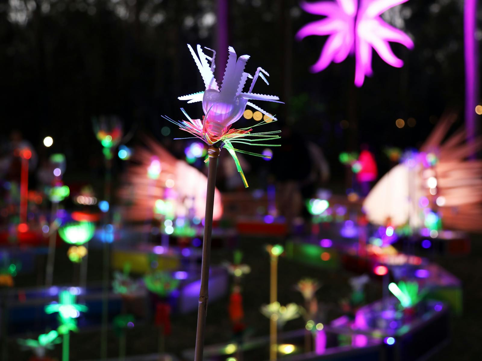 Image for North Geelong Lantern Trail