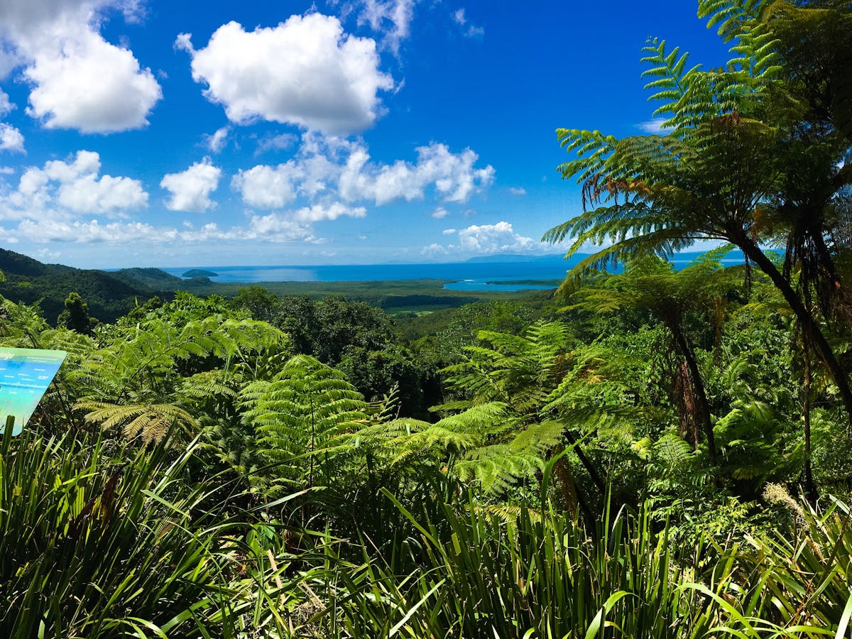 Alexandria Lookout