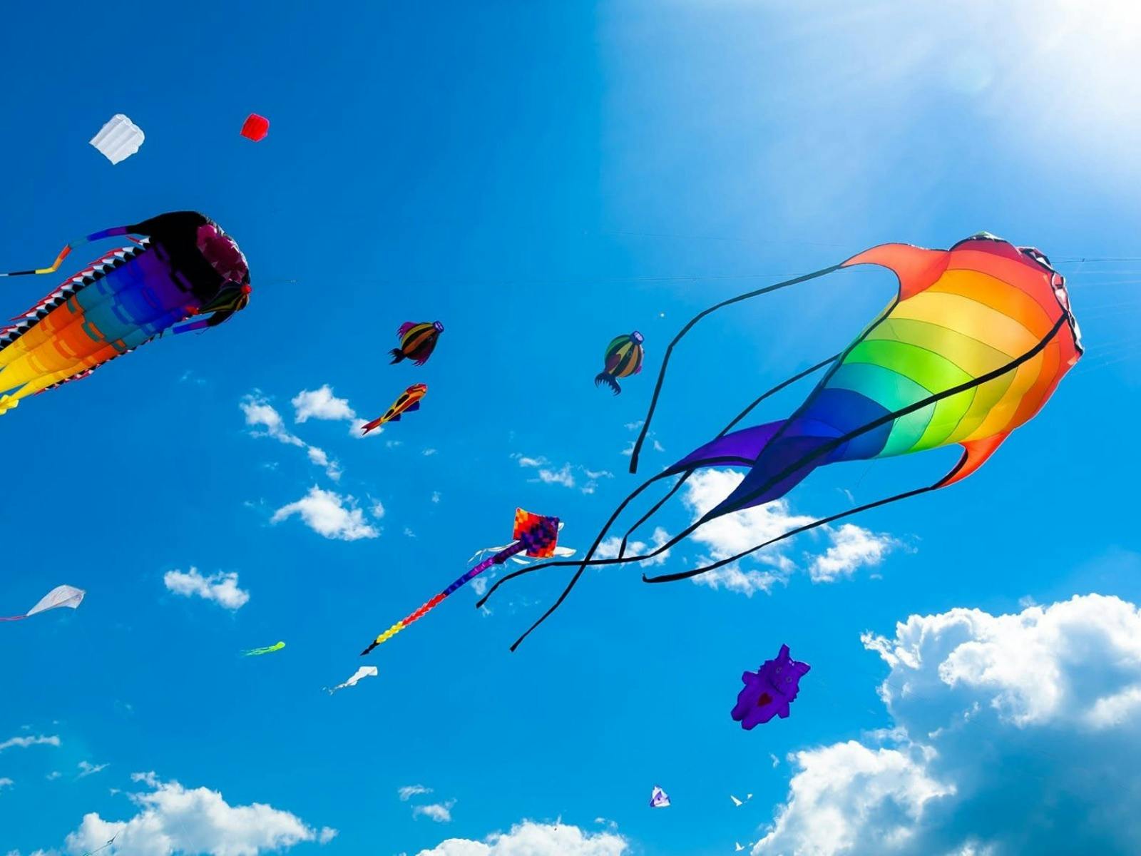 Kite Display