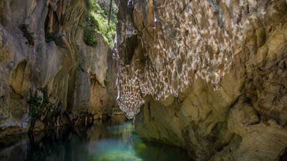 Mares Forest Creek walking track