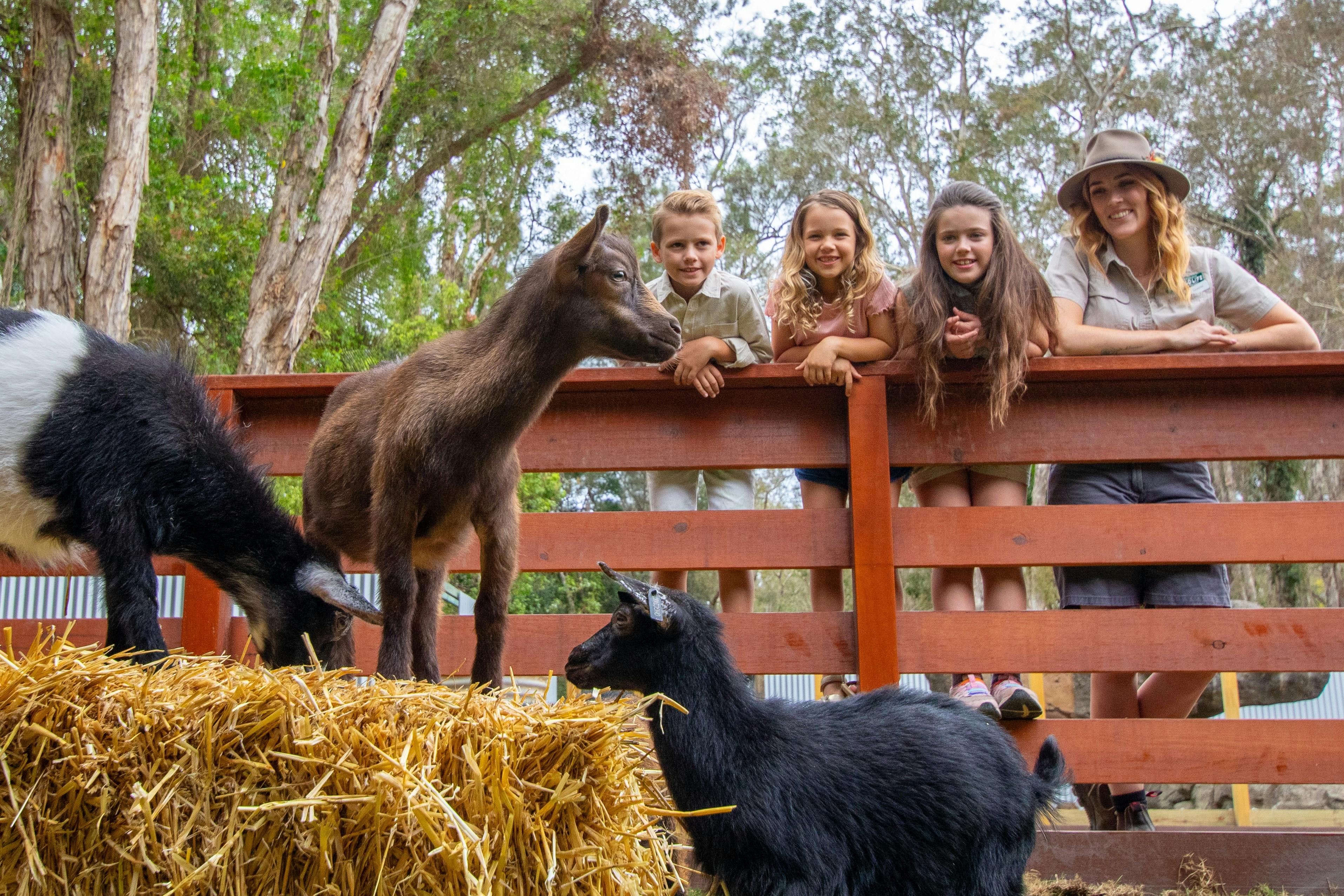 Outback Springs at Currumbin Wildlife Sanctuary