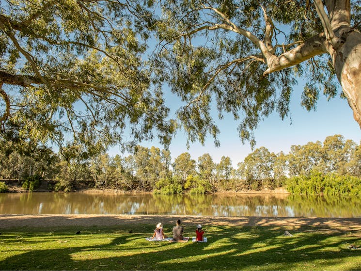 A family sitting on the grass under a shady tree along the sandy banks of the river