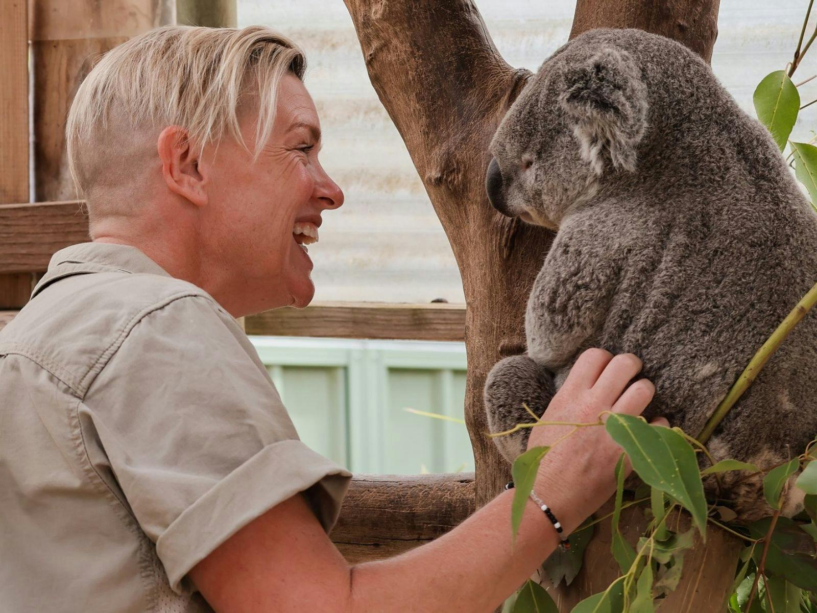 ローターワンによる野生動物の散歩ヘリ飛行