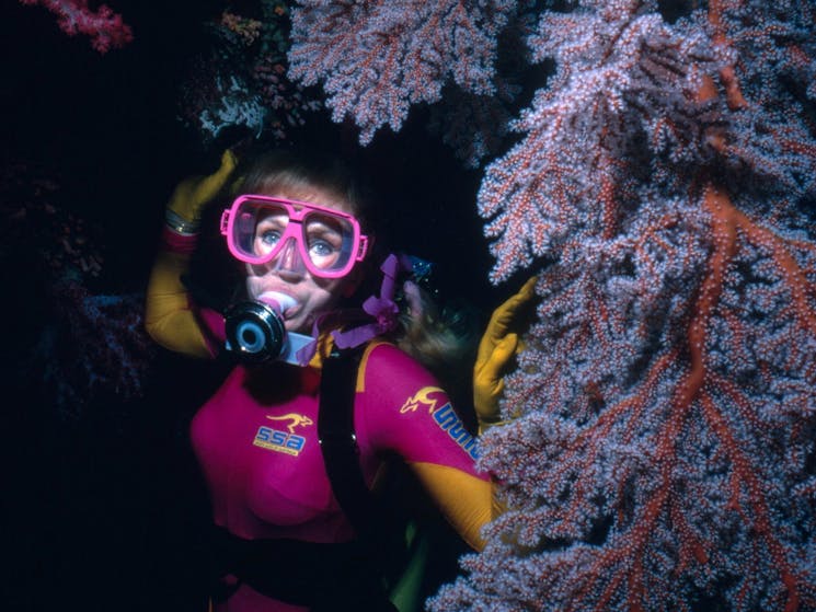 Valerie Taylor scuba diving amongst soft corals, May 1988.